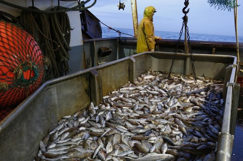 Balıkçılık ve Su Eserleri Genel Müdürü Atalay: Balık tüketimi, üretim kadar sevindirmiyor