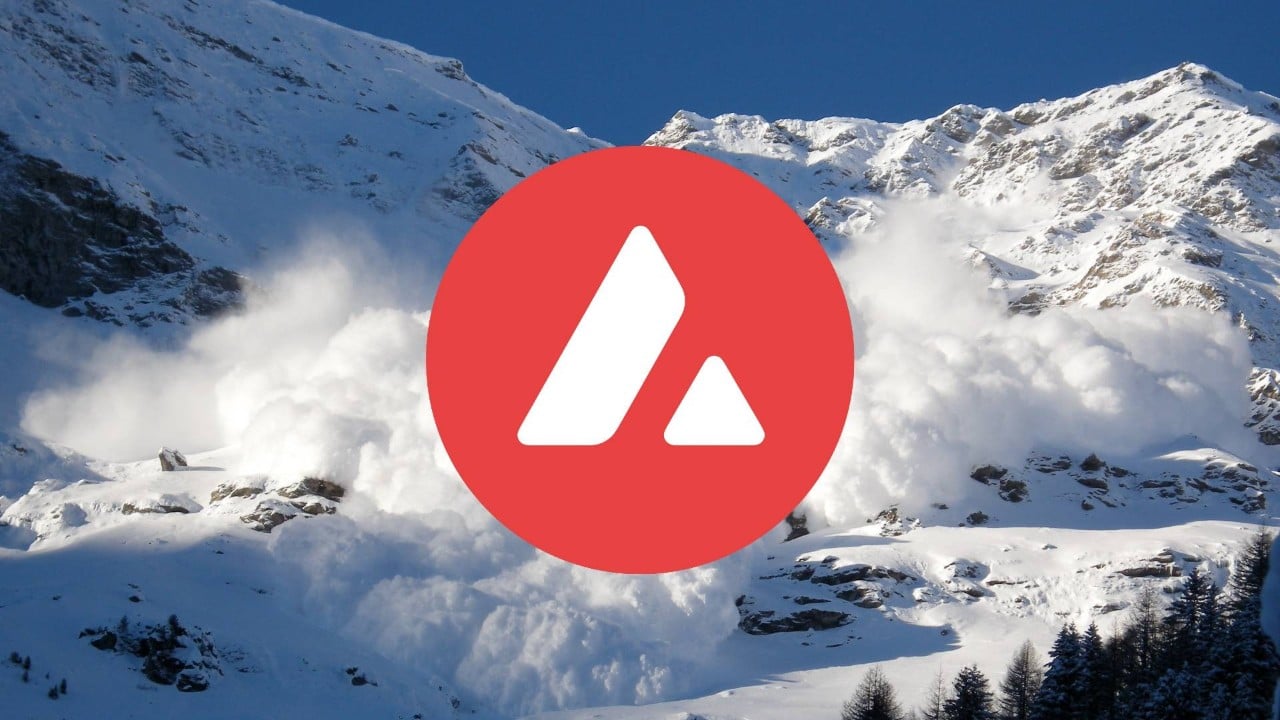 Loco, Avalanche Ağına 50 Milyon Kullanıcıyı Dahil Edecek