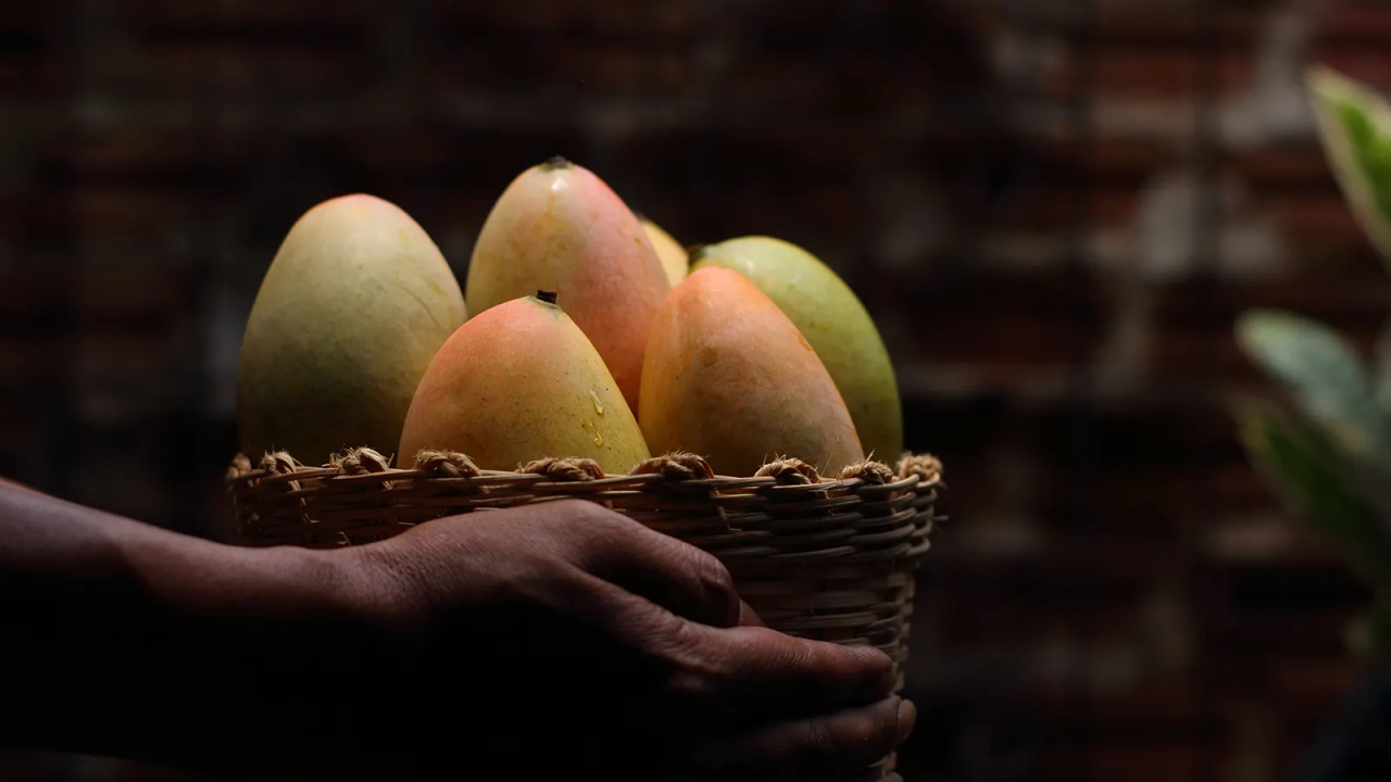 Mango Markets İstismarında Şaşırtan Savunma!