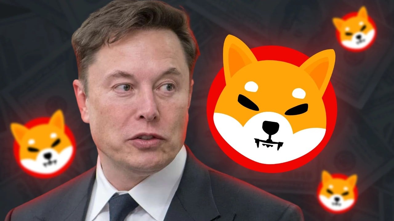 Elon Musk’ın Tweet’ine, Shiba Inu’dan Yanıt!