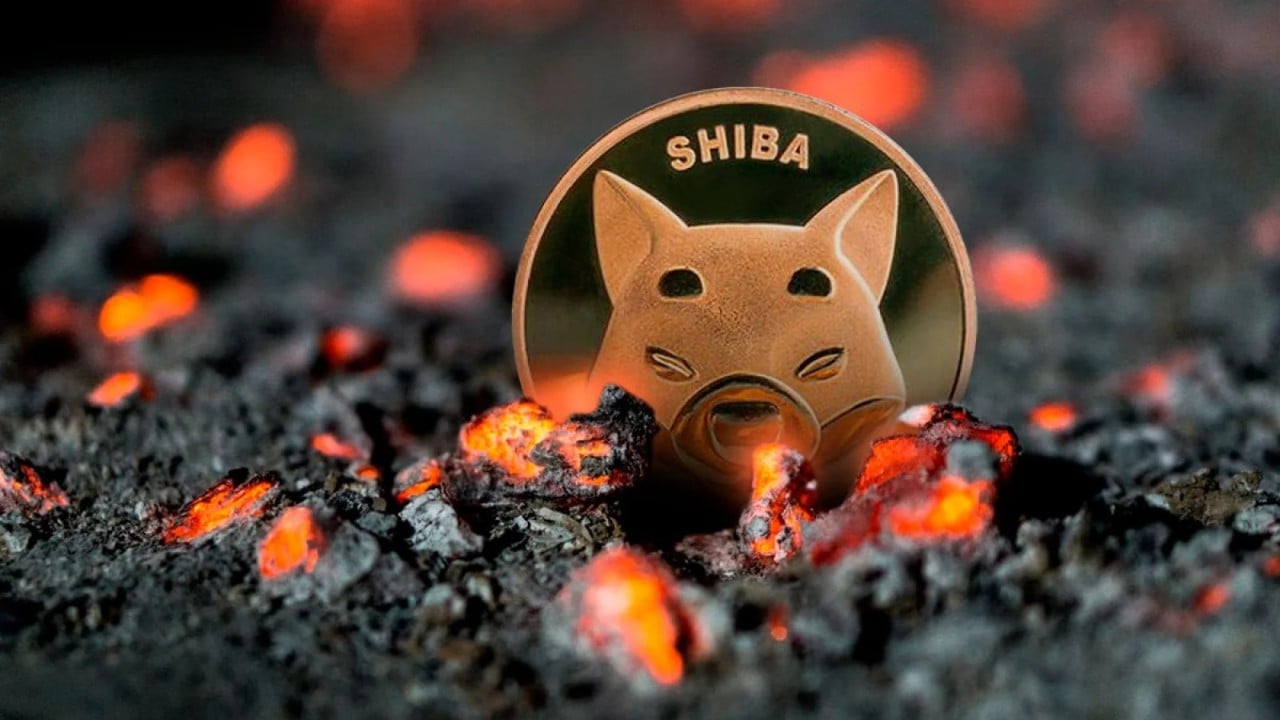 Shiba Inu (SHIB) için Büyük Duyuru: Yakım Devam Ediyor!