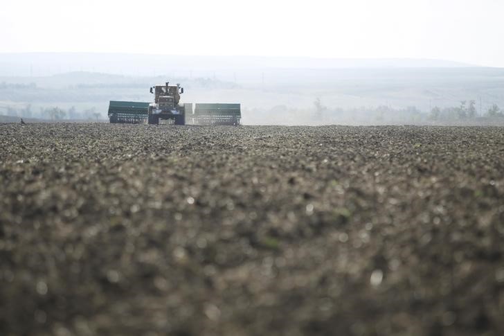 Yayla Agro arpa ihalesine katıldı