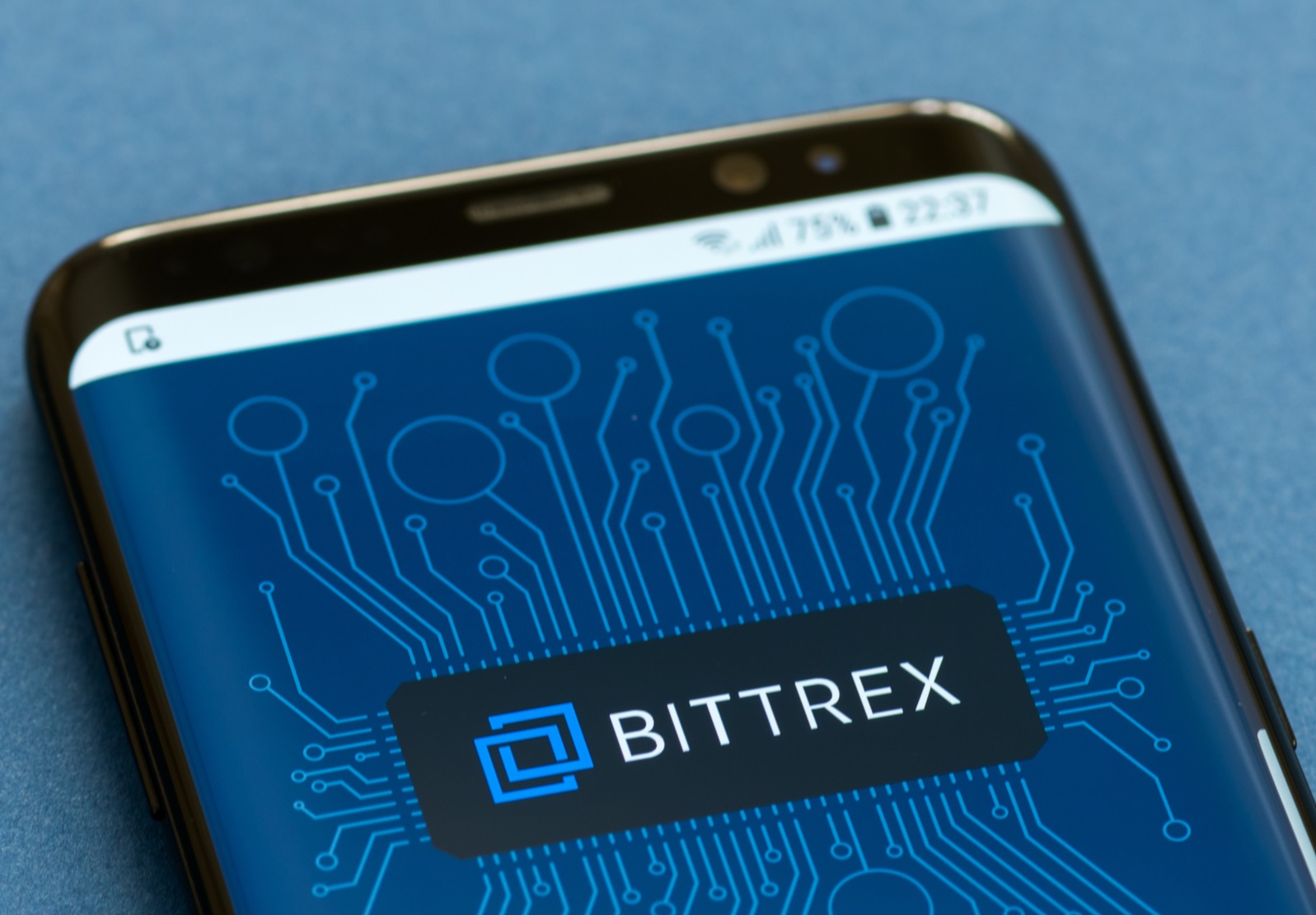 Bir Vakitler Fırtınalar Estirirdi: Bittrex