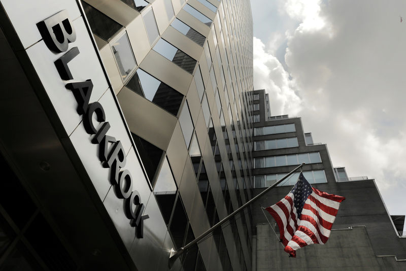 BlackRock’tan ihtar: “Yeni rejim, yeni portföy yaklaşımı”