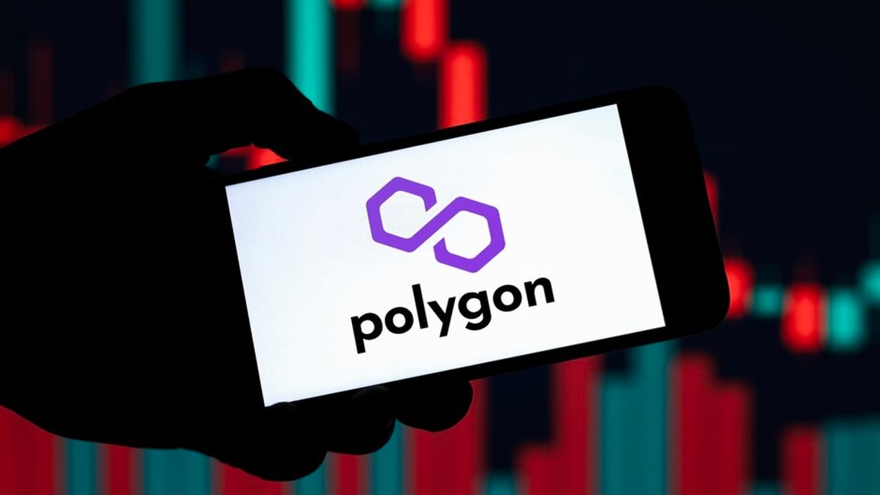 Polygon Ağı, Oyun Dalında Tırmanışa Geçti