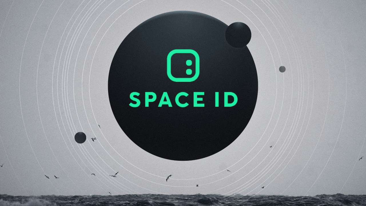 SPACE ID Nedir?